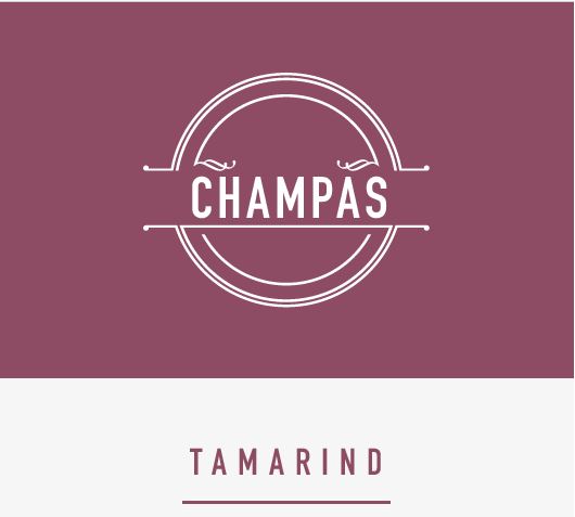 Champa's TAMARIND Sauce